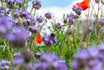 Book direct for our best rates